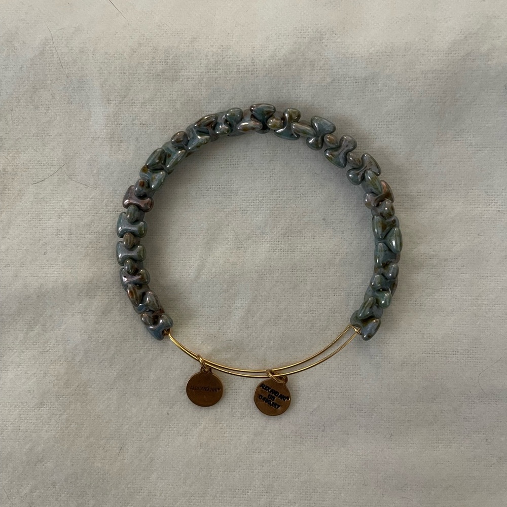 Alex and Ani Boulder Robin Bangle Bracelet